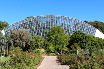 Greenhouse in Adelaide Botanic Garden, Australia