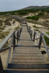 boardwalk in the dunes