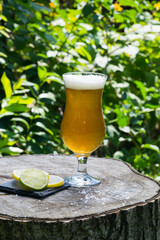 Beer in a glass with some lemon and lime slices.