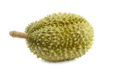 King of fruits, durian isolated on white background. with clipping paths. an oval spiny tropical fruit containing a creamy pulp. Despite its fetid smell, it is highly esteemed for its flavor.