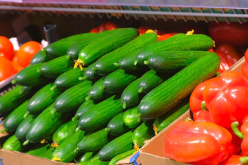 Fresh ripe vegetables in plastic boxes red peppers, tomatoes, green cucumbers in supermarket, closeup view. Full shelves of vegetables and products in the grocery store. Retail trade in food products.