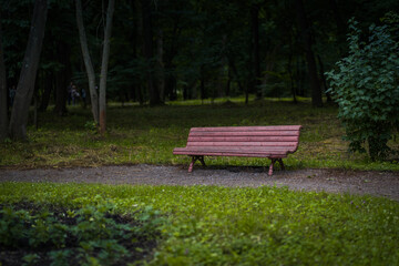Fototapeta na wymiar Old wooden bench for rest. Dirty shabby pew in park.