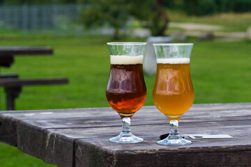 Beer in a glass.