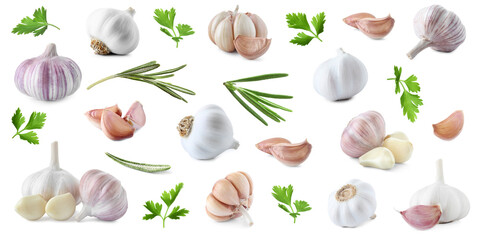 Set of fresh garlic and different seasonings on white background, banner design