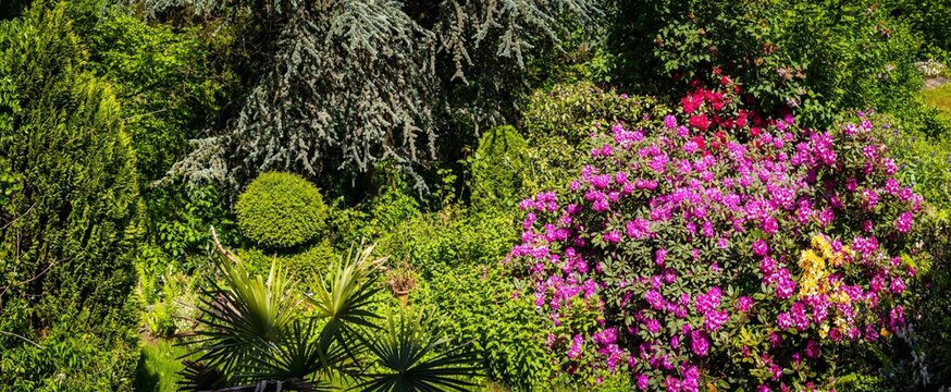 Gartenpanorama