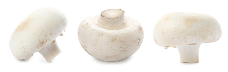 Set with fresh champignon mushrooms on white background, banner design