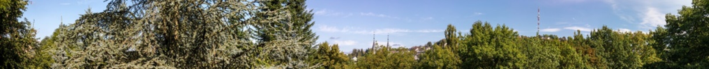 Fototapeta na wymiar Siegen Giersbergpanorama aus der Oberstadt mit Sommerhimmel