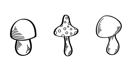 Vector set with wild mushrooms. Inedible mushrooms. Edible mushrooms. Decorative toadstool, white mushroom. Stylized illustration. Halloween, an autumn holiday. Black lines on a white background.