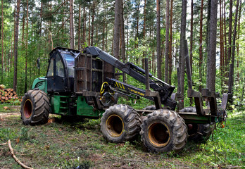Crane forwarder machine at during clearing of a plantation. Wheeled harvester transports raw timber from the felling site out to a road for collection by a truck. Harvesters, forest Logging machines - obrazy, fototapety, plakaty