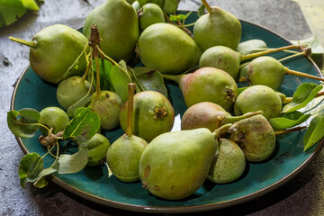 pears on the plate on an aged table