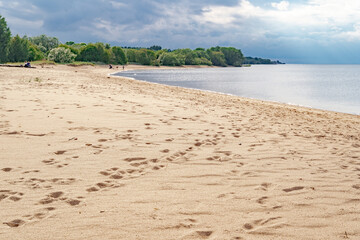 Sandy beach on the Baltic sea. Gulf of Finland. Summer. Rocks and mussel shells.