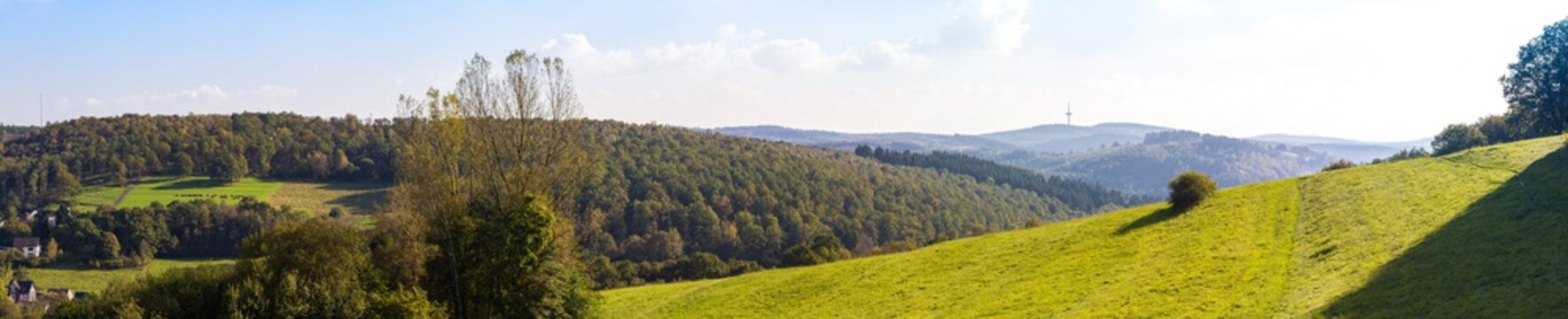 Wiesen am Siegener Giersberg Richtung Eisernhardt
