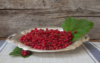 Metal vase with freshly picker red currants.