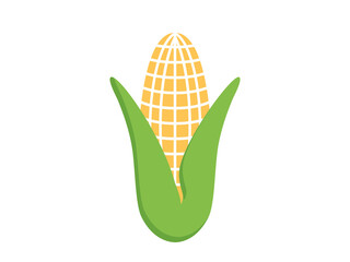 Corn icon. Vector corn vector illustration. 
