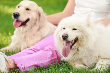 Young woman with cute dogs in park