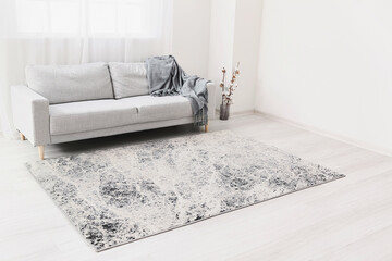 Interior of modern room with soft carpet
