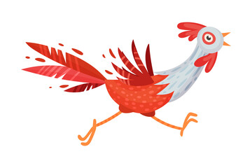 Feathered Cockerel with Colorful Tail as Farm Bird Vector Illustration