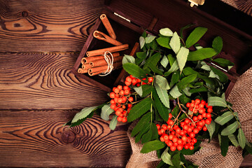 Autumn background with rowan and cinnamon sticks in a wooden box on a wooden table in a rustic style. Copy space Flat lay.