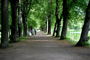alley in the park