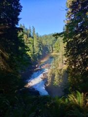 Rainbow forest waterfall Canada