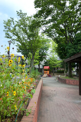 たちばな台第二公園（横浜市青葉区）