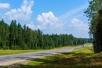 Ideal highway through pine forest on a sunny summer day