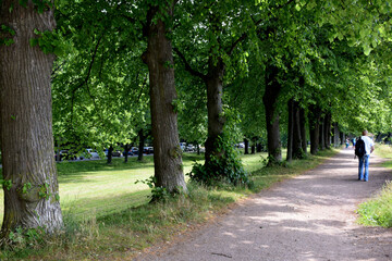 walk in the park