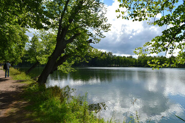 lake in the forest