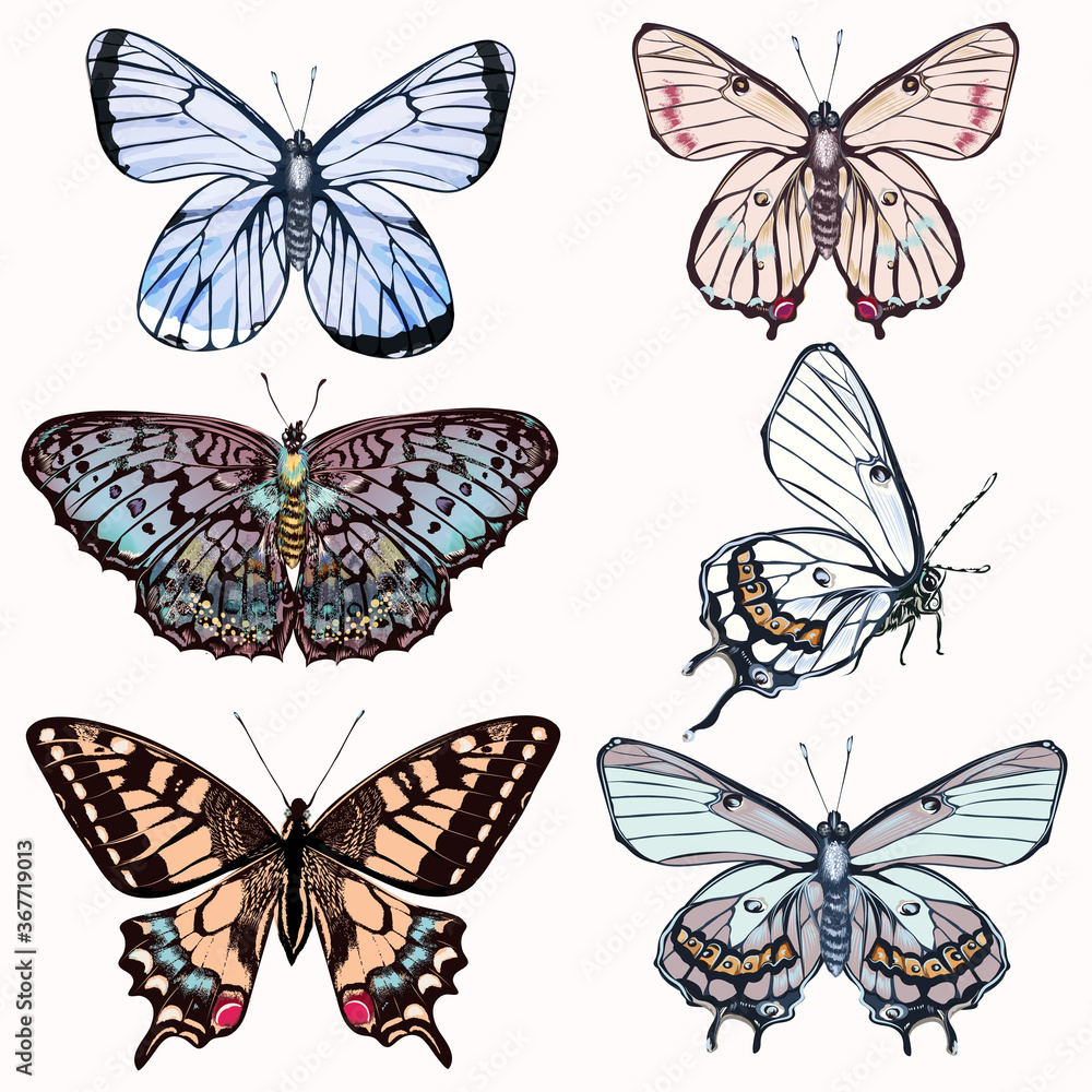 Aufkleber set of vector realistic butterflies for design in vintage style