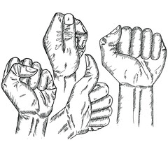 hands clenched, sketch and illustration