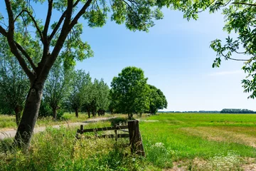 Foto auf Leinwand green landschap with trees, wooden, path, fence and meadow. Langerak, The Netherlands (1 van 1) © Corinne