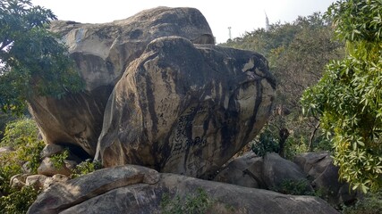 Obraz premium rocks in the forest