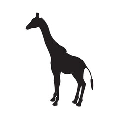 silhouette of giraffe