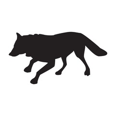 silhouette of fox