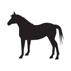 silhouette of horse