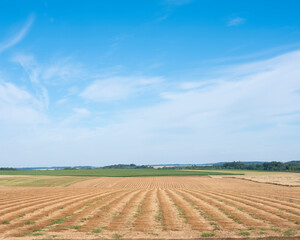 rural open landscape of northern french pasrt nord pas de calais