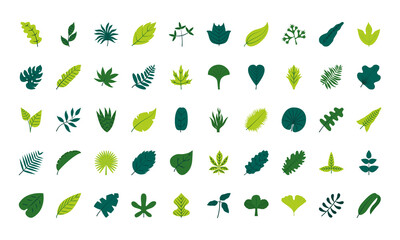 Obraz na płótnie Canvas tropical leaves flat style icon set vector design