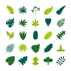 tropical leaves flat style icon set vector design