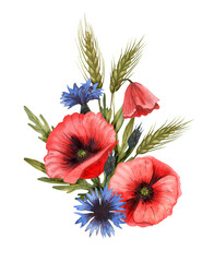 Hand drawn watercolor bouquet with wild flowers: poppies, cornflowers, wheat spikelets