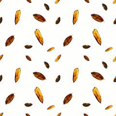 Seamless pattern with autumn leaves on white background. Hand draw illustration.