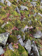 old stone wall with moss