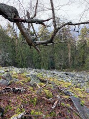 rocky field on a hill