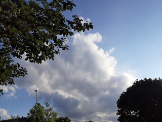 Obraz premium clouds and trees