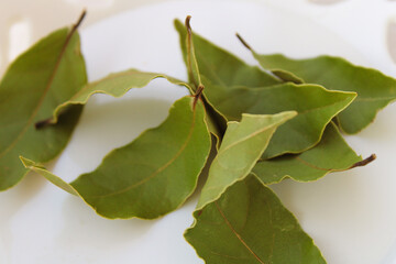 Obraz premium bay leaves on white background
