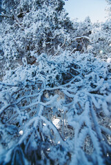 Mount Abantos Ascension in Madrid