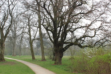 Obraz premium Schloßpark