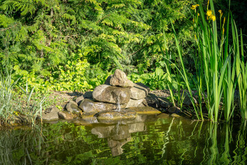 Beautiful view of the sunny garden pond with green high irises reflected in water. Large stones with small waterfall. There is a place for text. Selective focus.