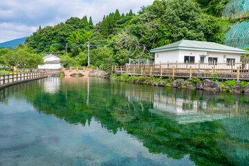 Fototapeta na wymiar 鹿児島県 湧水町 丸池湧水
