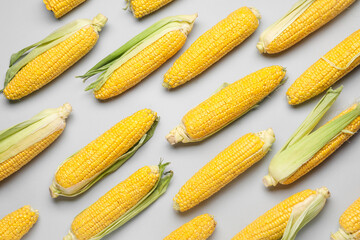 Fresh corn cobs on light background