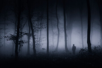 man in dark night forest, mysterious landscape